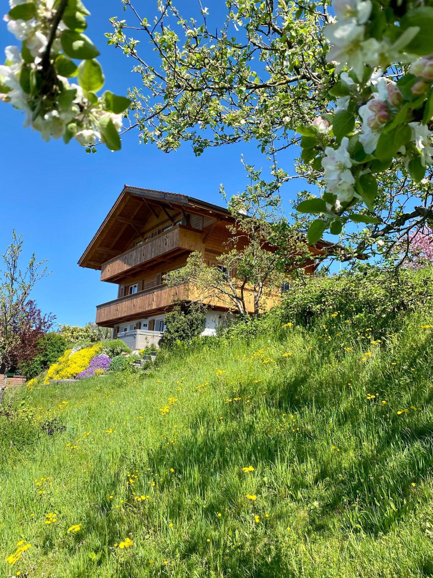 Chalet Egglen "Typical Swiss House, Best Views, Private Jacuzzi" Sigriswil Exteriör bild