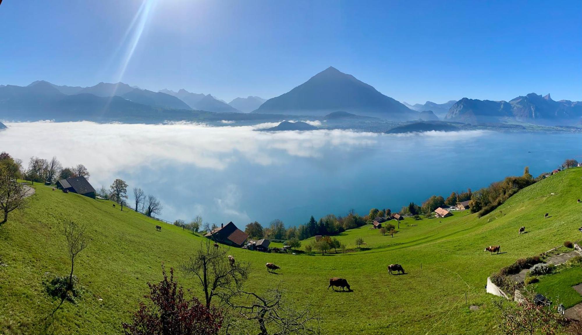 Chalet Egglen "Typical Swiss House, Best Views, Private Jacuzzi" Sigriswil Exteriör bild