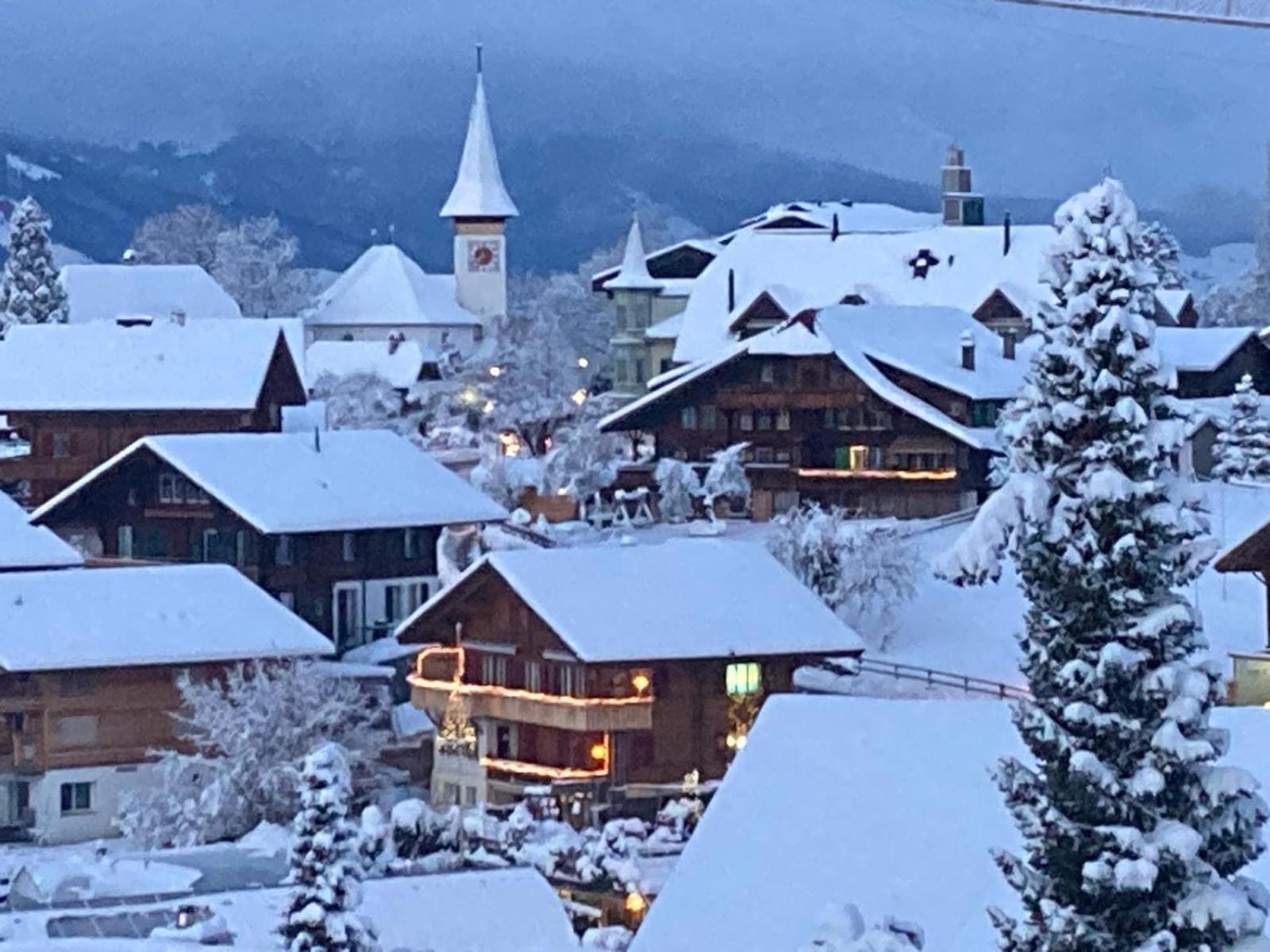 Chalet Egglen "Typical Swiss House, Best Views, Private Jacuzzi" Sigriswil Exteriör bild