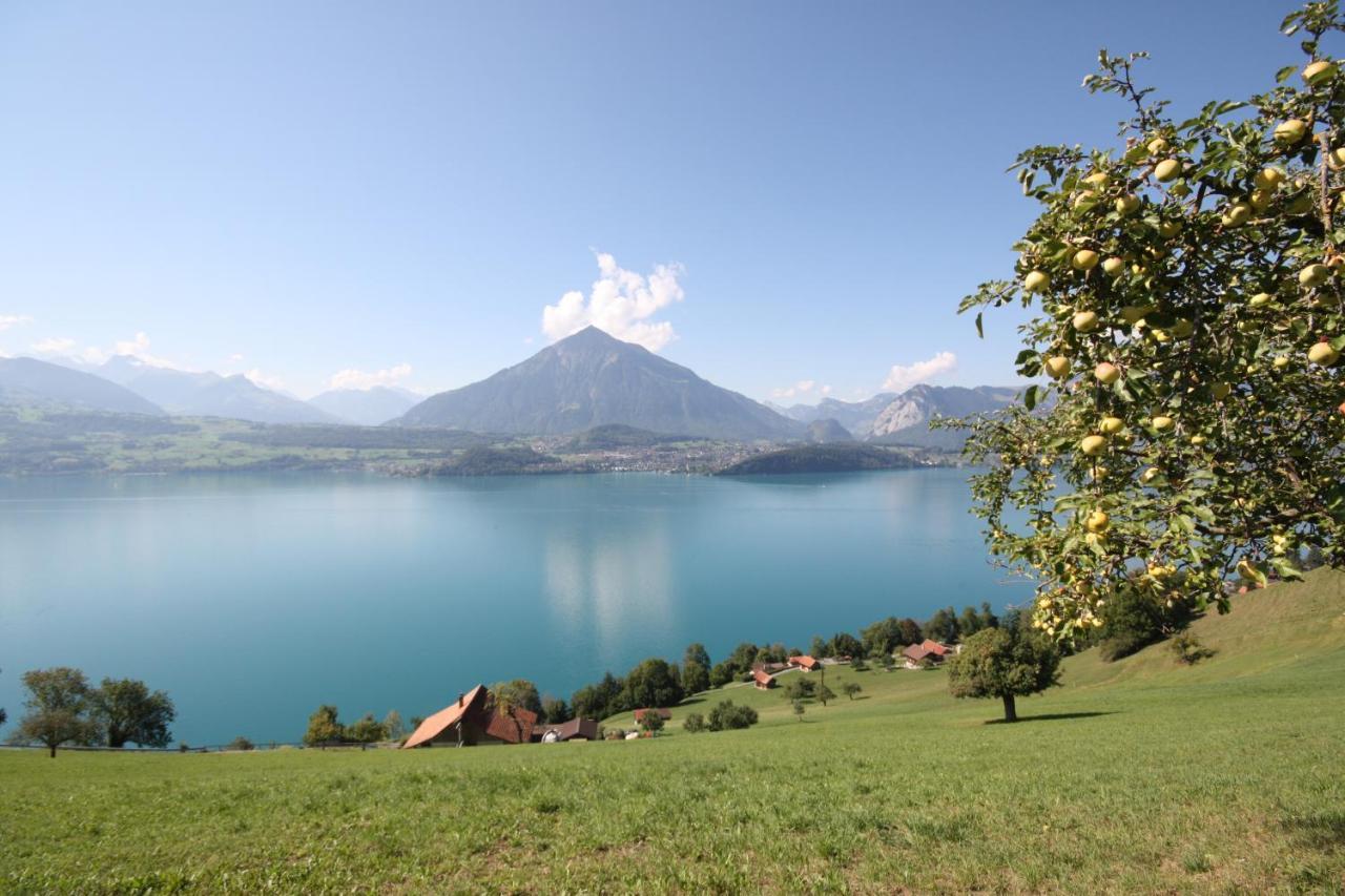 Chalet Egglen "Typical Swiss House, Best Views, Private Jacuzzi" Sigriswil Exteriör bild