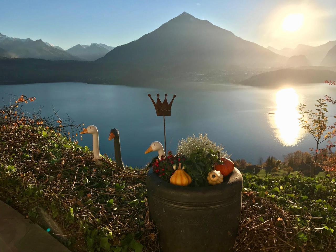 Chalet Egglen "Typical Swiss House, Best Views, Private Jacuzzi" Sigriswil Exteriör bild