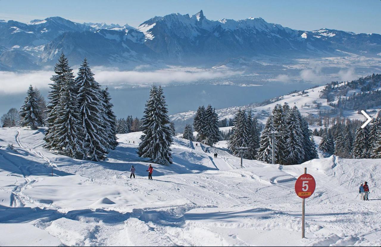 Chalet Egglen "Typical Swiss House, Best Views, Private Jacuzzi" Sigriswil Exteriör bild