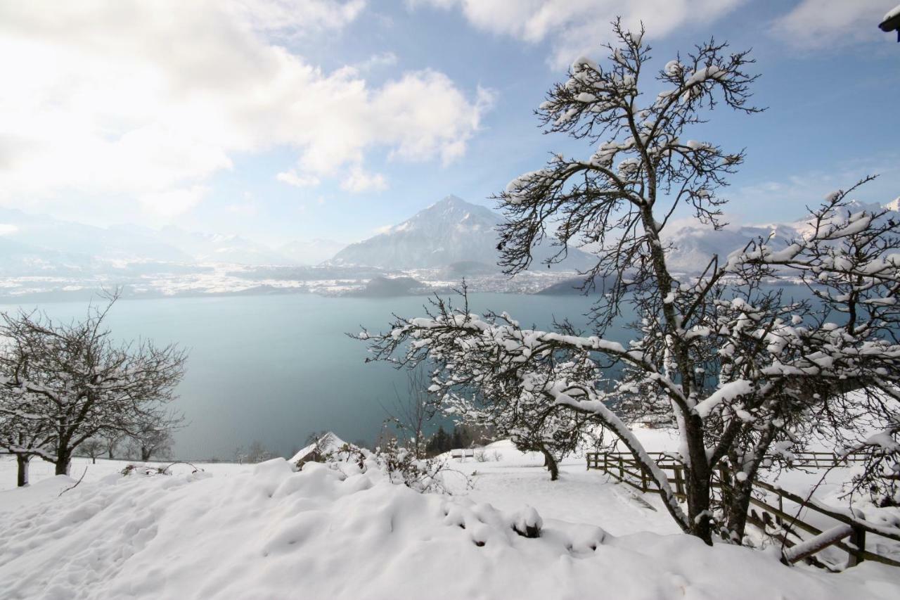 Chalet Egglen "Typical Swiss House, Best Views, Private Jacuzzi" Sigriswil Exteriör bild