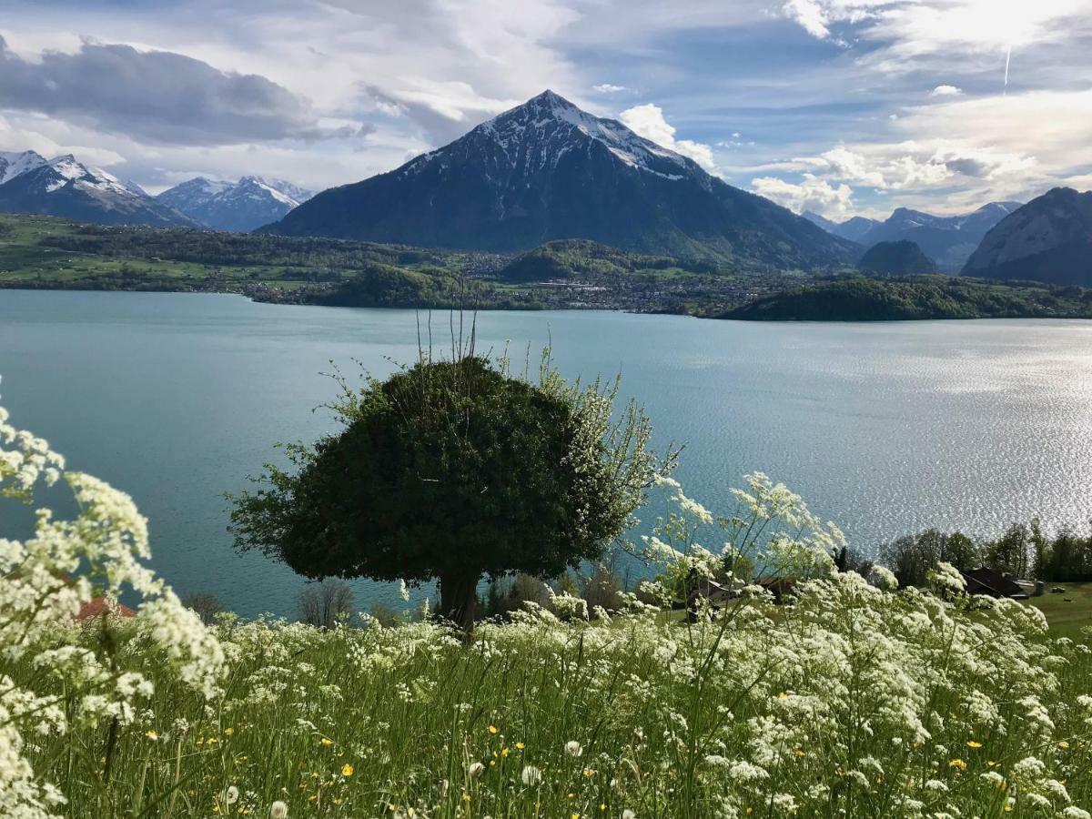 Chalet Egglen "Typical Swiss House, Best Views, Private Jacuzzi" Sigriswil Exteriör bild